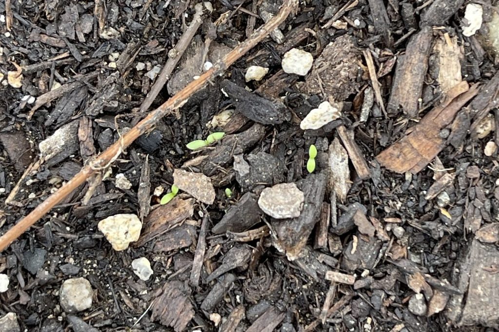 You’re Not Behind—You’re&nbsp;Rooting