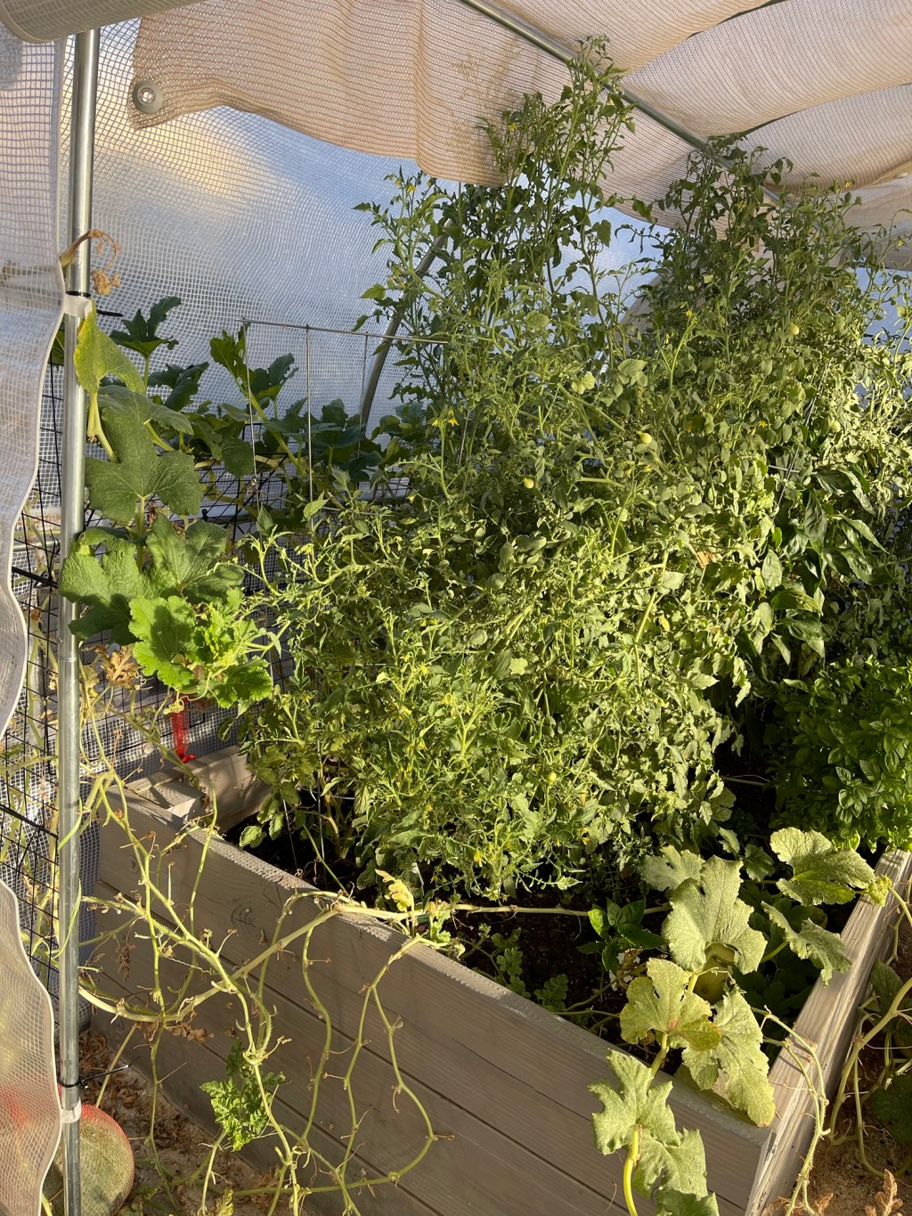 Deadheading Isn’t Failure – It’s Making&nbsp;Room